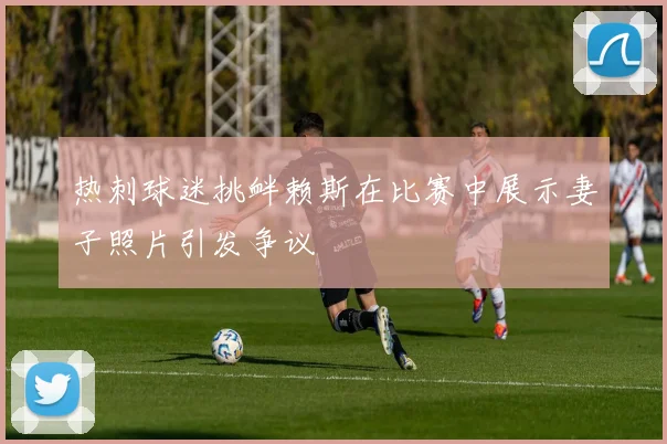 热刺球迷挑衅赖斯在比赛中展示妻子照片引发争议