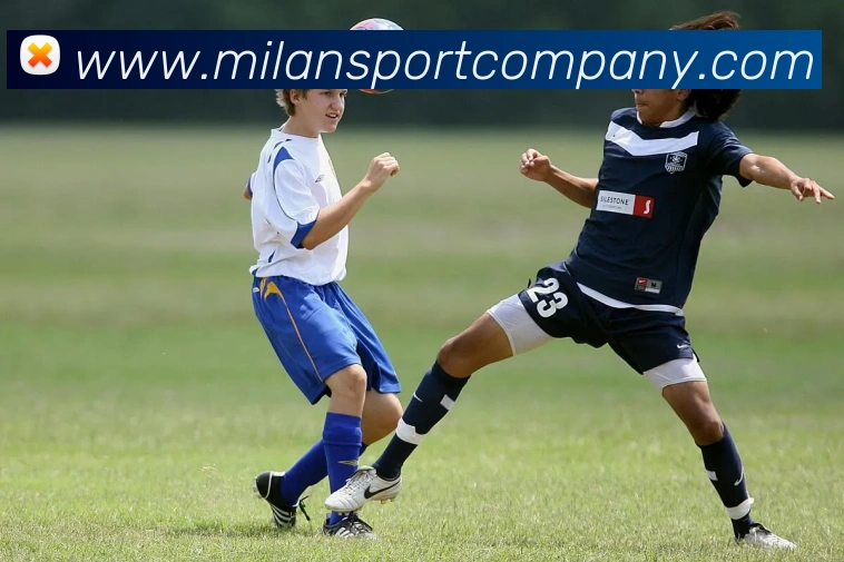 多媒体互动体验