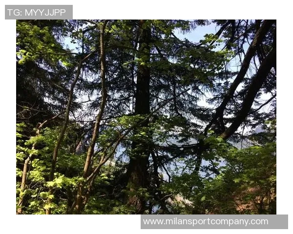 林葳波特兰游记分享看球之余打卡马尔特诺玛瀑布美景 林葳波特兰游记分享看球之余打卡马尔特诺玛瀑布美景